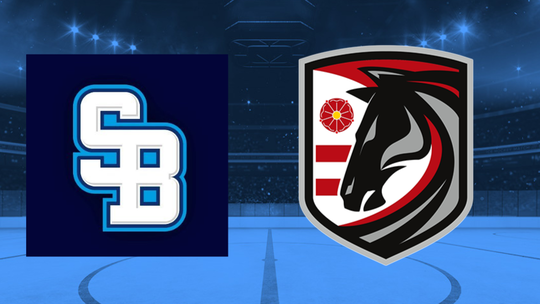 Zapas hokejovej extraligy Slovan Presov ONLINE