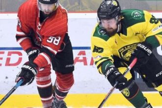 Na Povazi padlo najviac golov Skalica pripravila domacim vyprask Druha hokejova liga ma noveho lidra