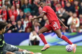 Nizke znamky tvrda kritika Isaka