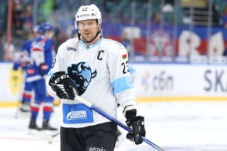 Bizarny moment na ruskom lade Pes pohryzol hokejistov