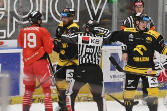 Dopiskal si Rozhodca ktory strcil do Slovaka dostane trest