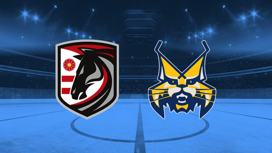 Extraligovu dohravku Presov Spisska Nova Ves sme sledovali ONLINE