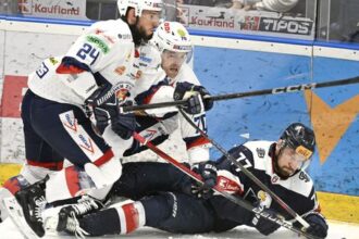 Michalovce hlasia posilu Prichadza stvornasobny majster