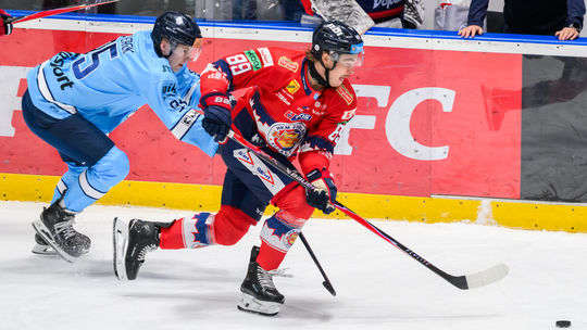 Ry chly ko nec ka nad skych u to cni kov vo Zvo le ne