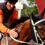 Energeticky burliak nema rad velky rozruch v laske Slovenskym majitelom uz zarobil viac nez zaplatili