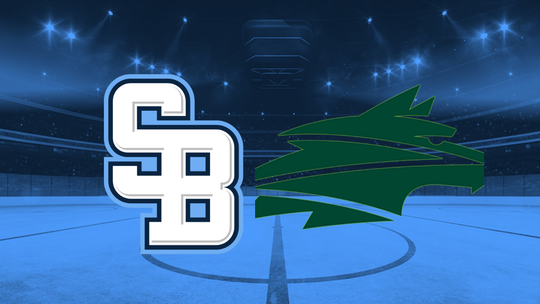 Extraligovy zapas HC Slovan Vlci Zilina ONLINE