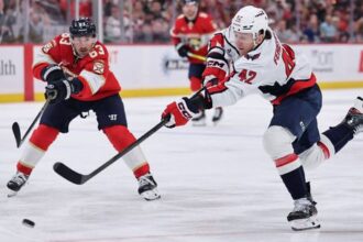 Obetavost Fehervaryho nestacila Washington opat prehral