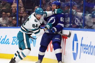 Paradny bekhend Regendu nekompromisny zasah Dvorskeho Slovaci zaziarili v NHL viacbodovy zapas Fehervaryho