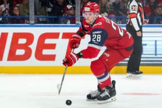 Slovensko na olympiade posilnia aj hraci z KHL