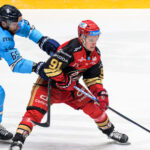 Dvojica kanadskych obrancov do Presova nakoniec nepride Procesna chyba tvrdi novacik