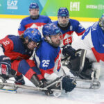 Federalne derby malo jasny priebeh Slovaci dostali od Cechov debakel