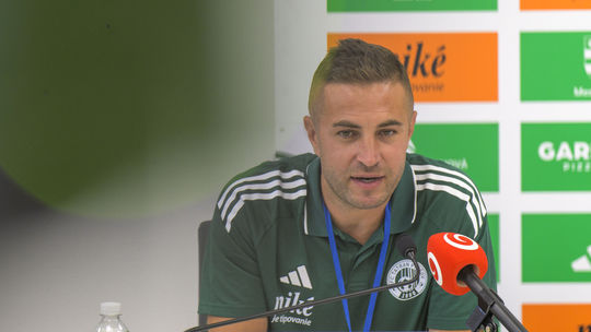 Sestak Urazil mi manzelku a deti co je nezmysel S takym clovekom nemozem spolupracovat Je to otazka moralnosti