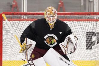 skvela sprava z mora gajan podpisal zmluvu s chicagom zarobi milion za sezonu