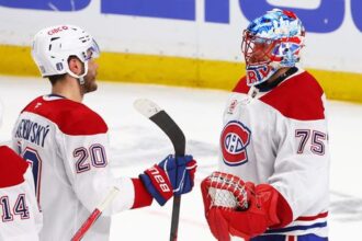 Pocty sa dokal aj esk brankr Do vberu najlepch novkov sezny NHL sa dostala aj dvojica z Montrealu