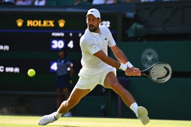Djokovic sa mucil s Francuzom obhajca titulu vyradil Japonca Dalej postupuje aj Rus Safjullin